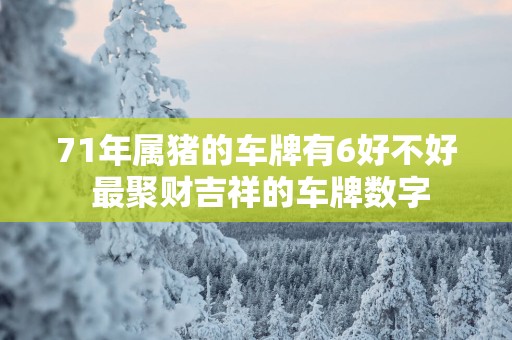 71年属猪的车牌有6好不好 最聚财吉祥的车牌数字