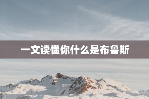 一文读懂你什么是布鲁斯