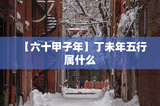 【六十甲子年】丁未年五行属什么
