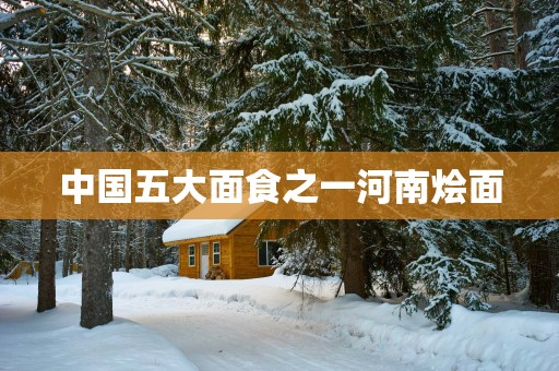 中国五大面食之一河南烩面