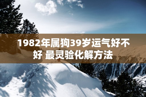1982年属狗39岁运气好不好 最灵验化解方法 1982年属狗39岁运气好不好 最灵验化解方法