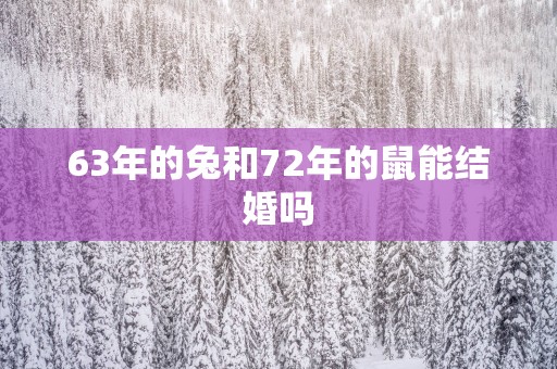 63年的兔和72年的鼠能结婚吗