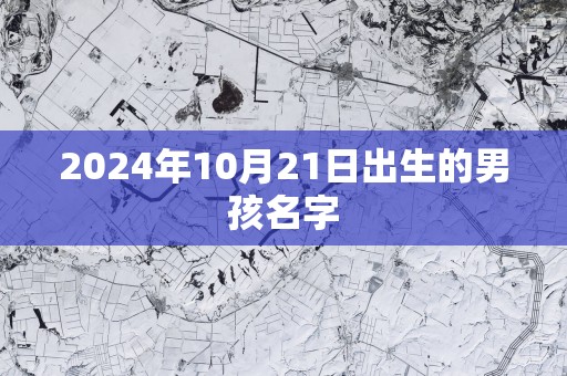 2025年10月21日出生的男孩名字
