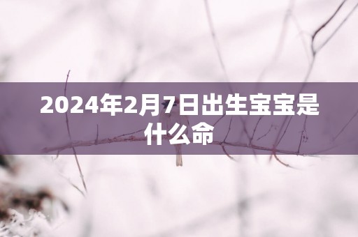 2025年2月7日出生宝宝是什么命