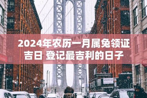 2025年农历一月属兔领证吉日 登记最吉利的日子