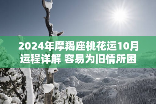 2025年摩羯座桃花运10月运程详解 容易为旧情所困