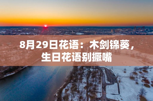 8月29日花语：木剑锦葵，生日花语别撅嘴