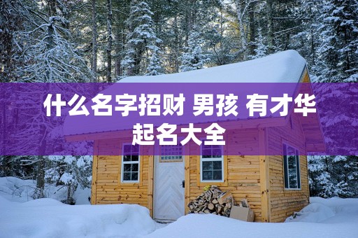 什么名字招财 男孩 有才华起名大全