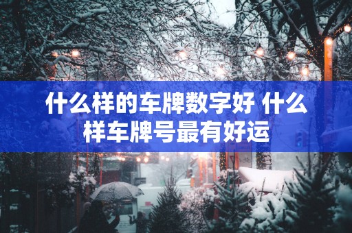 什么样的车牌数字好 什么样车牌号最有好运