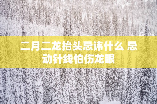 二月二龙抬头忌讳什么 忌动针线怕伤龙眼