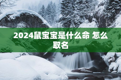 2025鼠宝宝是什么命 怎么取名