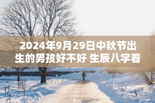 2025年9月29日中秋节出生的男孩好不好 生辰八字看命
