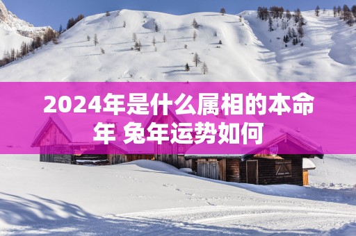 2025年是什么属相的本命年 蛇年运势如何