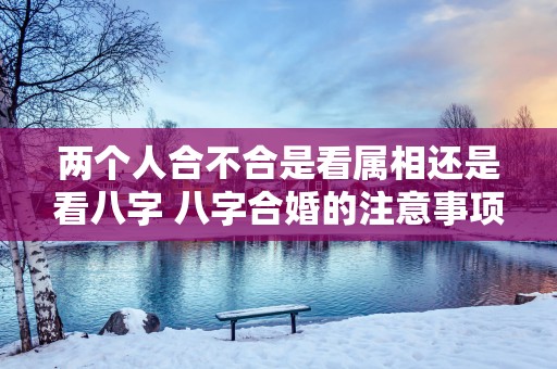 两个人合不合是看属相还是看八字 八字合婚的注意事项