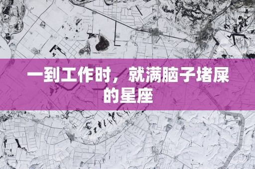 一到工作时，就满脑子堵屎的星座
