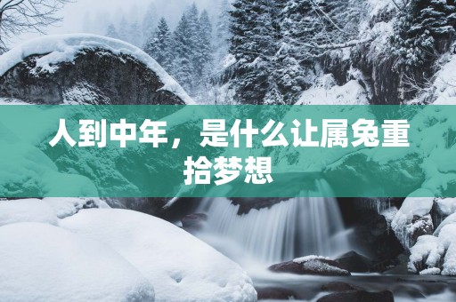 人到中年,是什么让属兔重拾梦想 人到中年,是什么让属兔重拾梦想