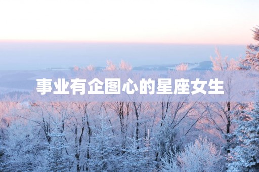 事业有企图心的星座女生