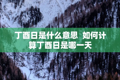丁酉日是什么意思  如何计算丁酉日是哪一天
