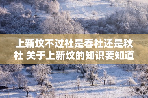 上新坟不过社是春社还是秋社 关于上新坟的知识要知道