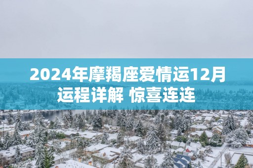 2025年摩羯座爱情运12月运程详解 惊喜连连
