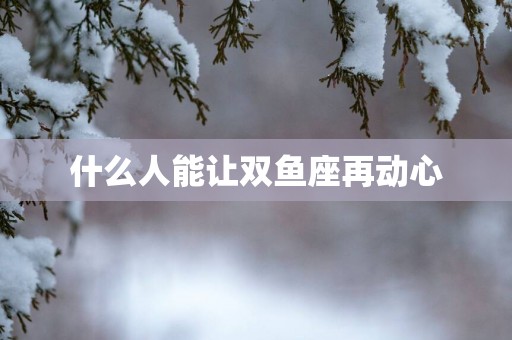 什么人能让双鱼座再动心