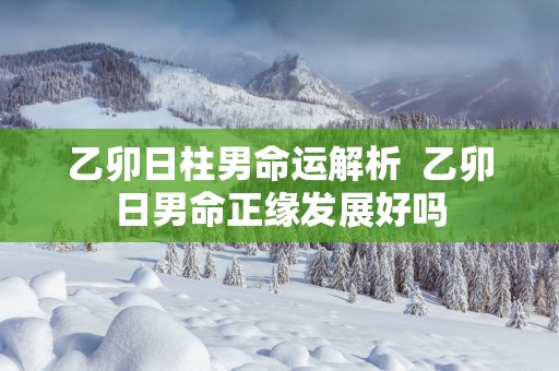 乙卯日柱男命运解析  乙卯日男命正缘发展好吗