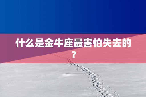 什么是金牛座最害怕失去的？