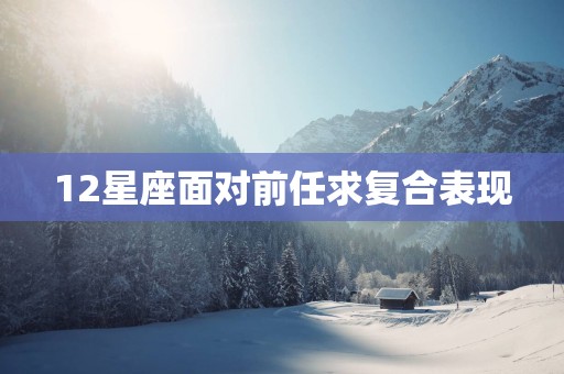 12星座面对前任求复合表现