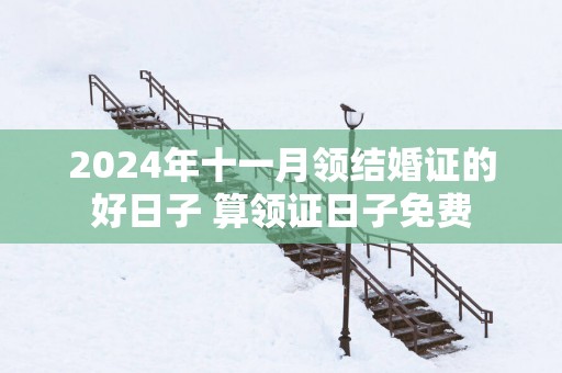 2025年十一月领结婚证的好日子 算领证日子免费