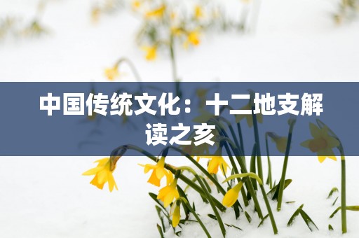 中国传统文化：十二地支解读之亥