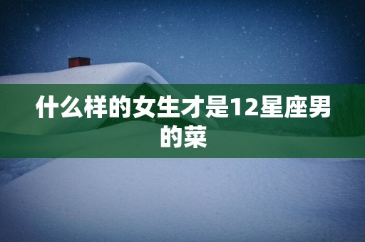 什么样的女生才是12星座男的菜