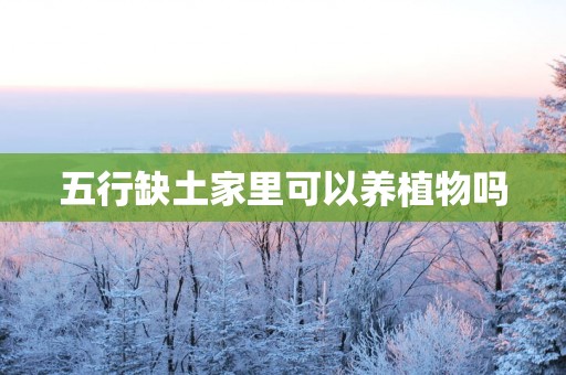 五行缺土家里可以养植物吗