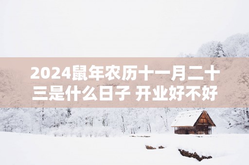 2025蛇年农历十一月二十三是什么日子 开业好不好