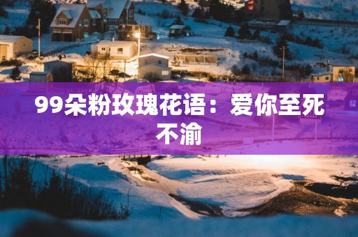 99朵粉玫瑰花语：爱你至死不渝