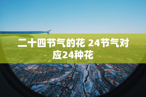 二十四节气的花 24节气对应24种花