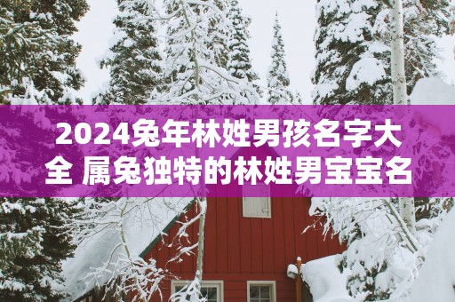 2025蛇年林姓男孩名字大全 属兔独特的林姓男宝宝名字
