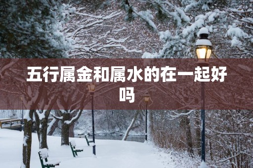 五行属金和属水的在一起好吗