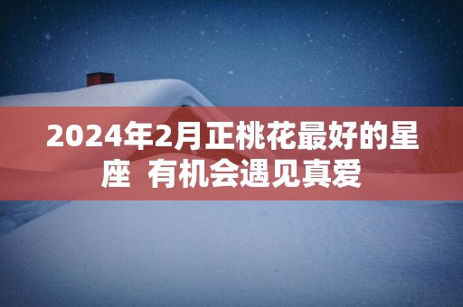 2025年2月正桃花最好的星座  有机会遇见真爱
