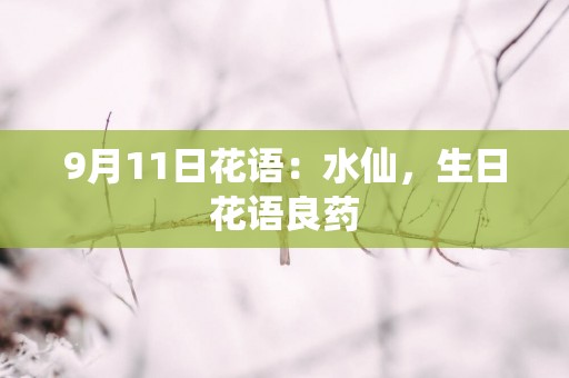 9月11日花语：水仙，生日花语良药