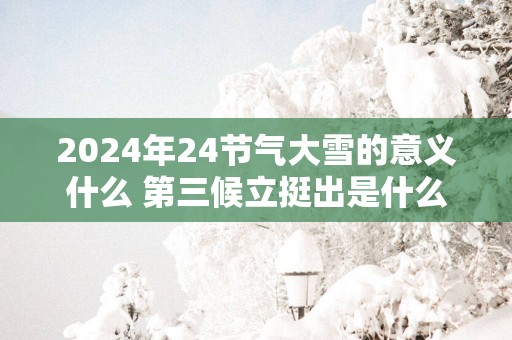 2025年24节气大雪的意义什么 第三候立挺出是什么意思