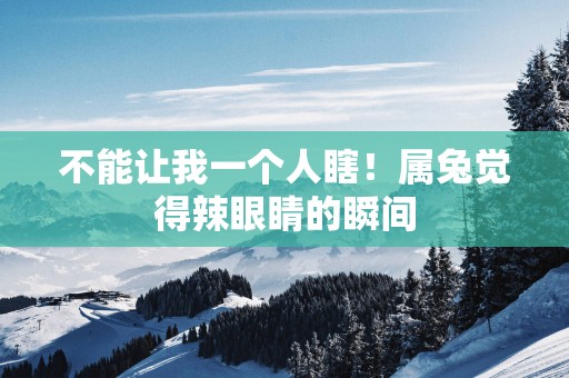 不能让我一个人瞎！属兔觉得辣眼睛的瞬间