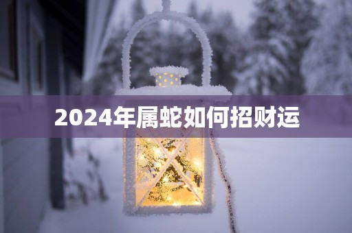 2025年属蛇如何招财运