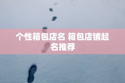 个性箱包店名 箱包店铺起名推荐