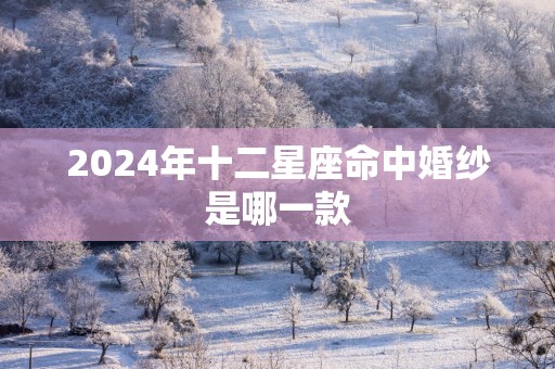 2025年十二星座命中婚纱是哪一款