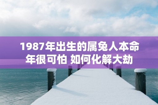 1987年出生的属兔人本命年很可怕 如何化解大劫