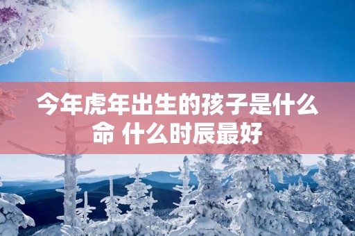 今年蛇年出生的孩子是什么命 什么时辰最好