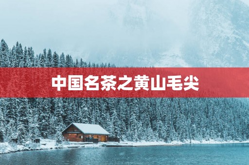 中国名茶之黄山毛尖