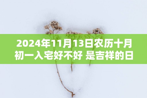 2025年11月13日农历十月初一入宅好不好 是吉祥的日子吗