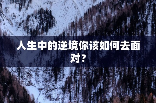 人生中的逆境你该如何去面对？