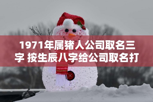 1971年属猪人公司取名三字 按生辰八字给公司取名打分